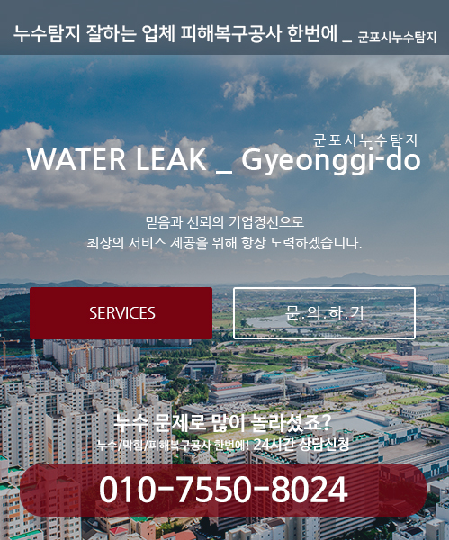 누수탐지 잘하는 업체 피해복구공사 한번에 모바일 비주얼 0